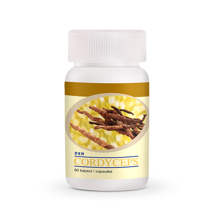 DXN CORDYCEPS CÁPSULAS